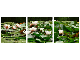 panoramic-3-piece-canvas-print-a-field-full-of-water-lilies