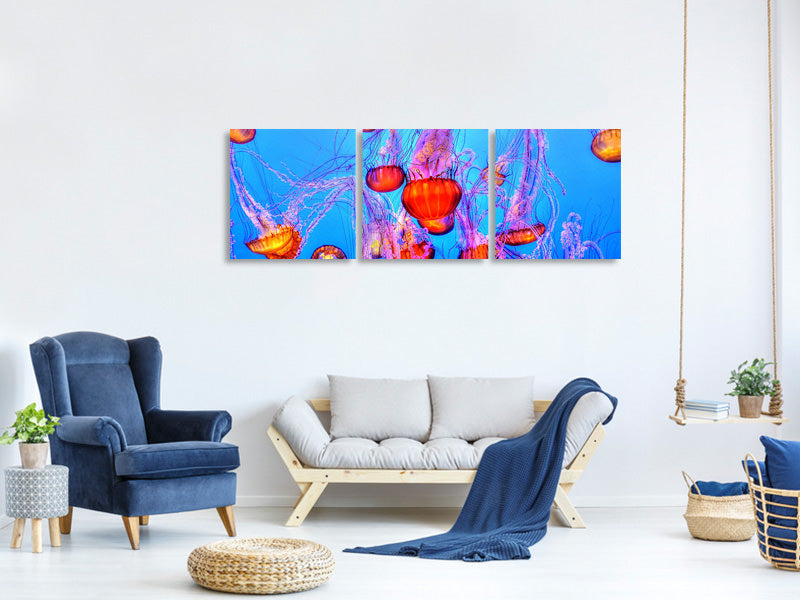 panoramic-3-piece-canvas-print-colorful-jellyfish