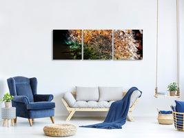 panoramic-3-piece-canvas-print-dandelion-in-the-morning-dew