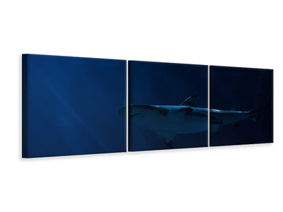 panoramic-3-piece-canvas-print-dangerous-shark