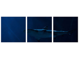panoramic-3-piece-canvas-print-dangerous-shark