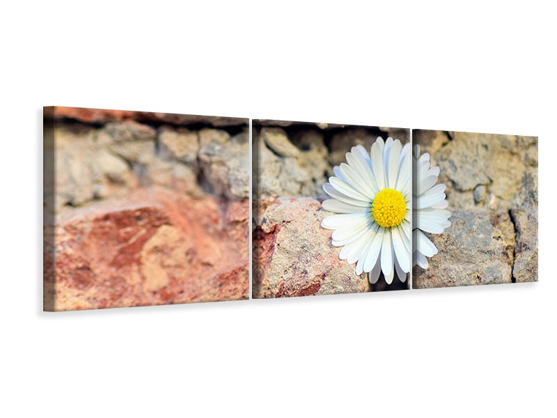 panoramic-3-piece-canvas-print-flower-in-the-wall