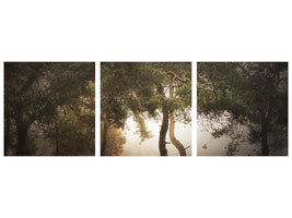 panoramic-3-piece-canvas-print-foggy-memory-of-the-past-iii