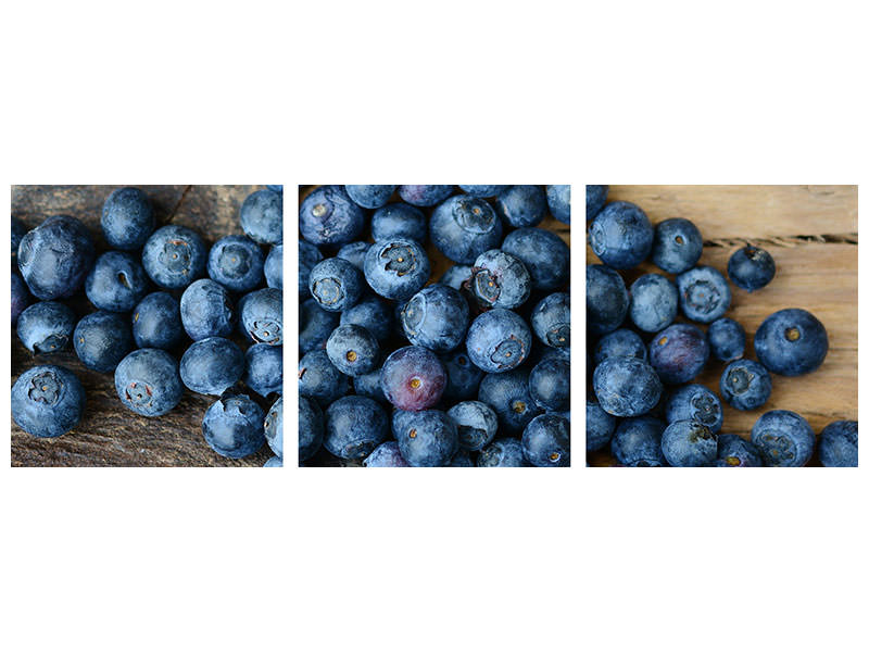 panoramic-3-piece-canvas-print-fresh-blueberries