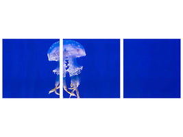 panoramic-3-piece-canvas-print-glowing-jellyfish