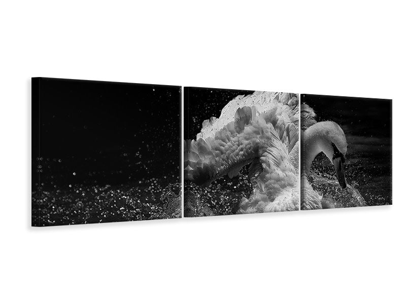 panoramic-3-piece-canvas-print-in-motion