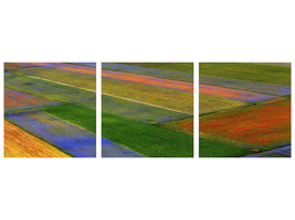 panoramic-3-piece-canvas-print-la-coperta