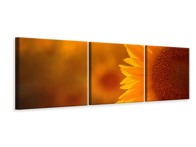 panoramic-3-piece-canvas-print-macro-sunflower