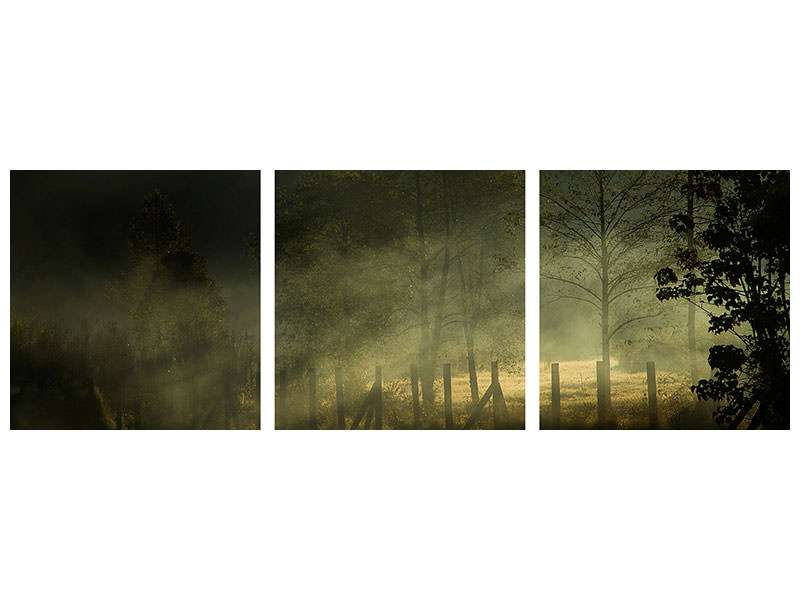 panoramic-3-piece-canvas-print-misty-morning-ii