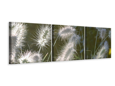 panoramic-3-piece-canvas-print-ornamental-grasses-in-xl