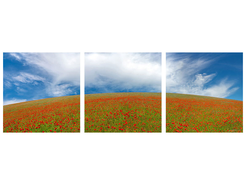 panoramic-3-piece-canvas-print-red-poppies