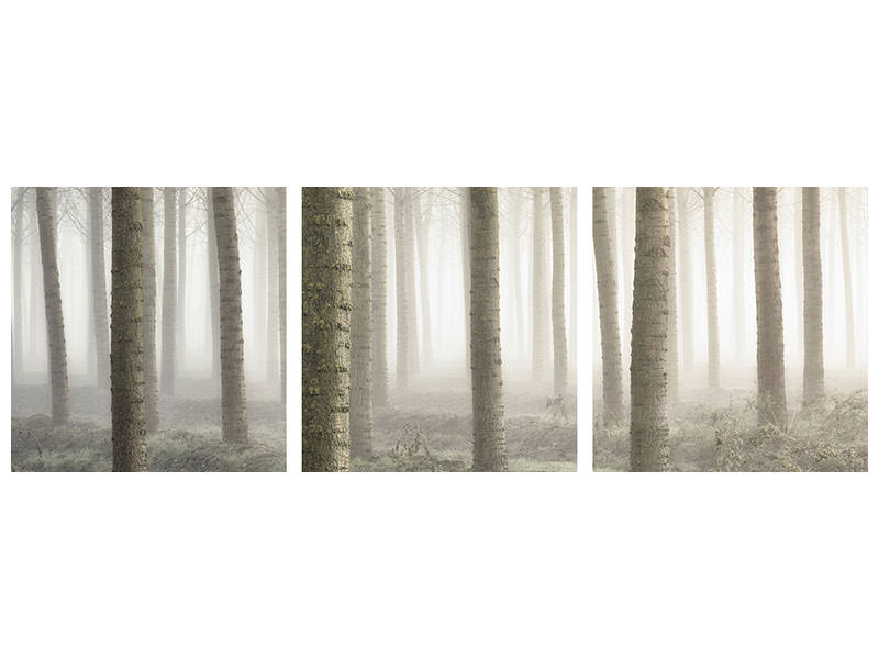 panoramic-3-piece-canvas-print-small-woodland
