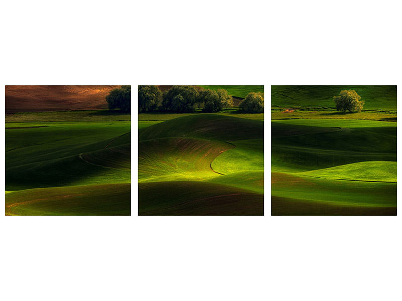 panoramic-3-piece-canvas-print-spring-in-the-palouse