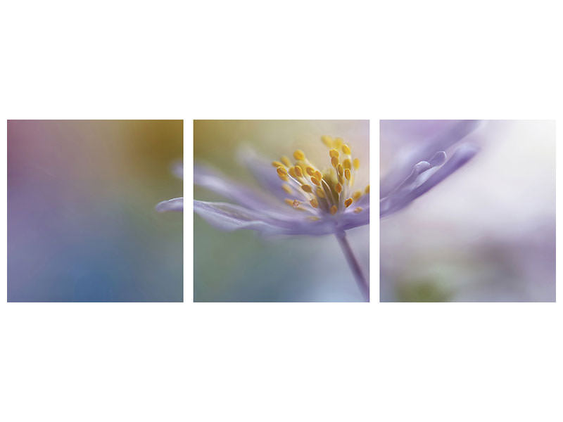 panoramic-3-piece-canvas-print-springtime-watercolor