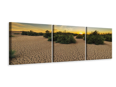 panoramic-3-piece-canvas-print-the-drought