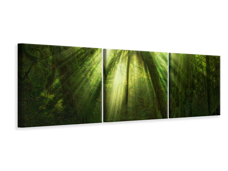 panoramic-3-piece-canvas-print-the-miracle