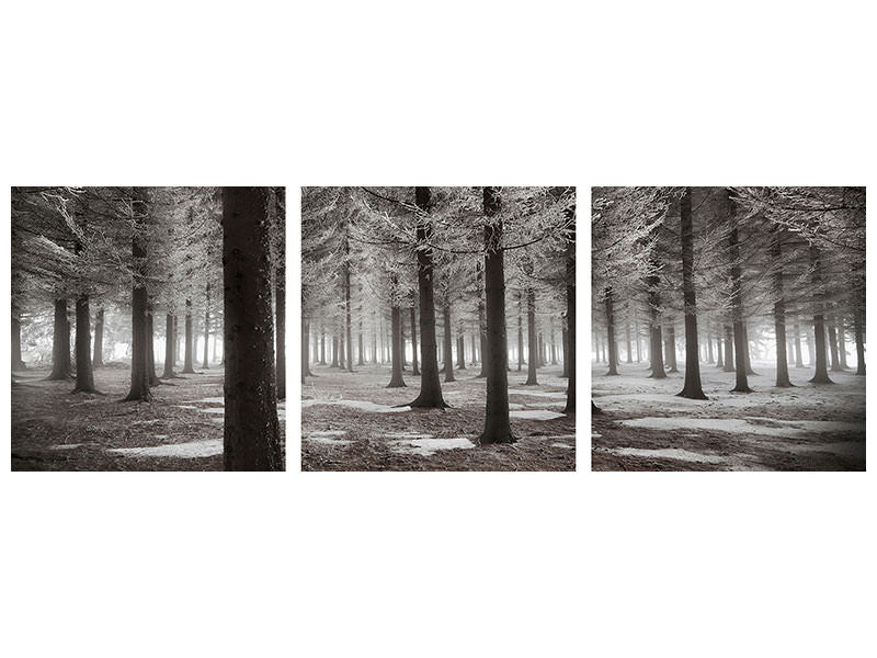 panoramic-3-piece-canvas-print-the-onset-of-winter