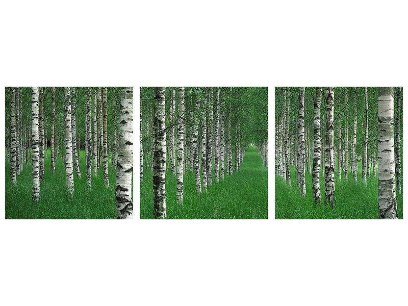panoramic-3-piece-canvas-print-the-tunnel