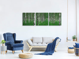 panoramic-3-piece-canvas-print-the-tunnel