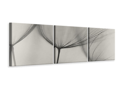 panoramic-3-piece-canvas-print-tragopogon