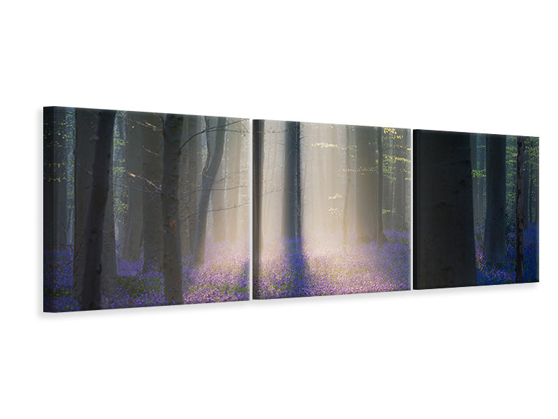 panoramic-3-piece-canvas-print-velvet-light