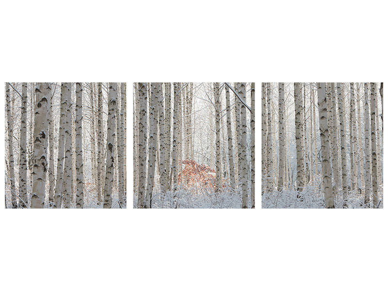 panoramic-3-piece-canvas-print-white