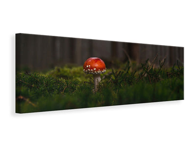 panoramic-canvas-print-a-mushroom-in-the-forest