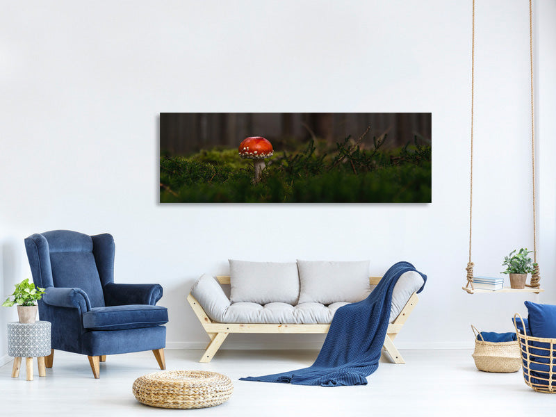 panoramic-canvas-print-a-mushroom-in-the-forest