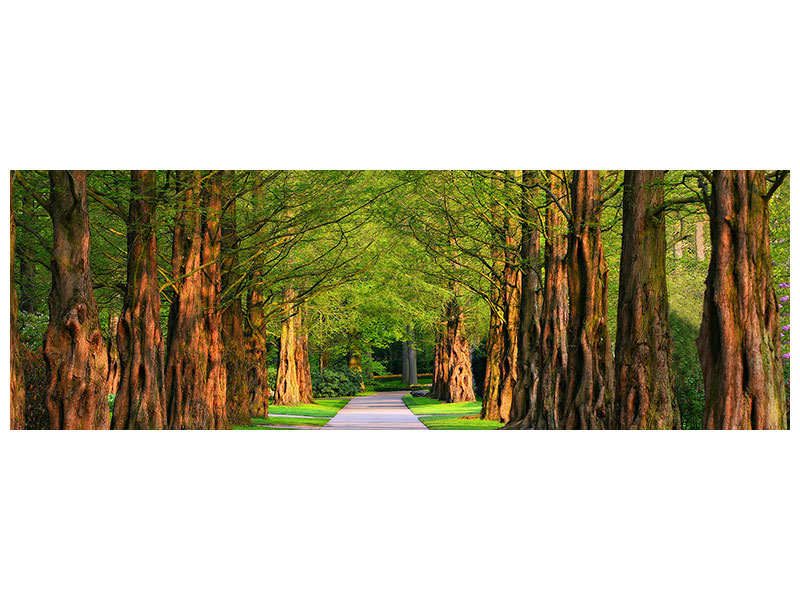 panoramic-canvas-print-beautiful-avenue-in-nature