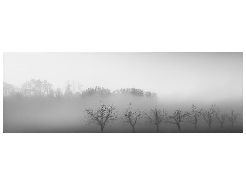 panoramic-canvas-print-eight-trees-in-the-mist