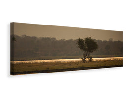 panoramic-canvas-print-elephant-alone-in-the-steppe