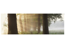 panoramic-canvas-print-first-day-of-summer