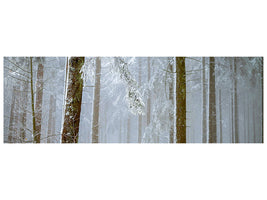 panoramic-canvas-print-forest-in-winter