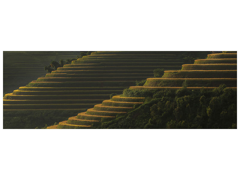 panoramic-canvas-print-landing-fields-at-sunrise-beautiful-golden-light-shines