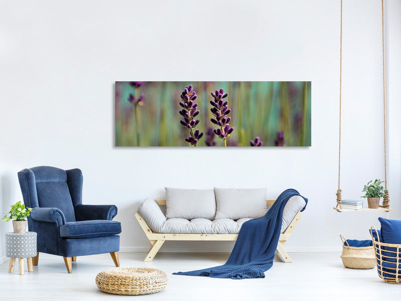 panoramic-canvas-print-lavender-in-xl