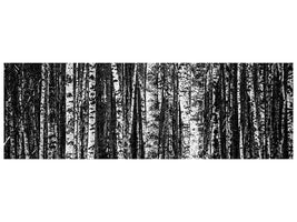 panoramic-canvas-print-many-birches-xl