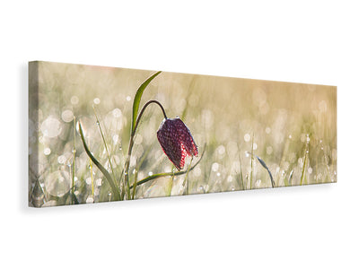 panoramic-canvas-print-morningdew
