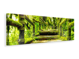 panoramic-canvas-print-moss