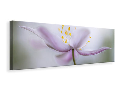 panoramic-canvas-print-nemorosa-ii