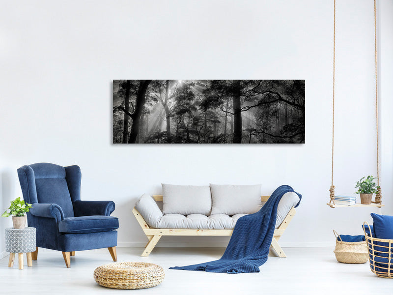 panoramic-canvas-print-primary-forest