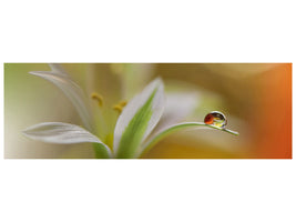 panoramic-canvas-print-sound-of-colors