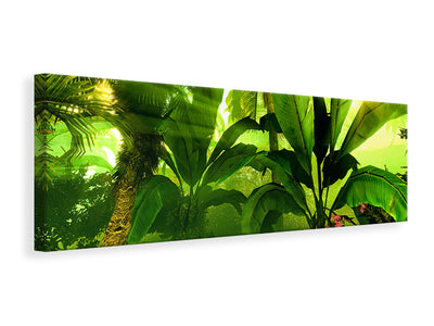 panoramic-canvas-print-sunrise-in-the-rainforest