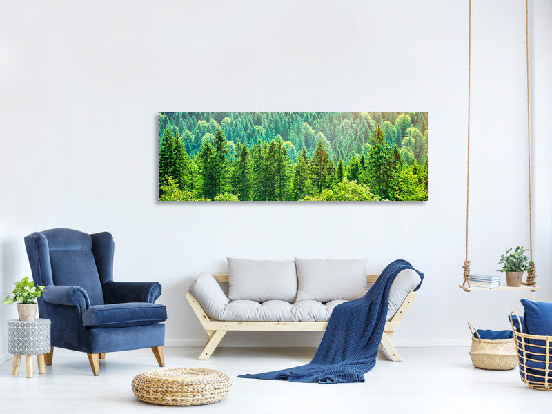 panoramic-canvas-print-the-forest-hill