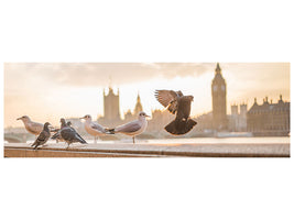 panoramic-canvas-print-the-pigeons-on-the-roof