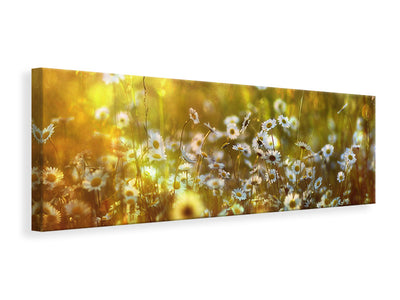 panoramic-canvas-print-wonderland